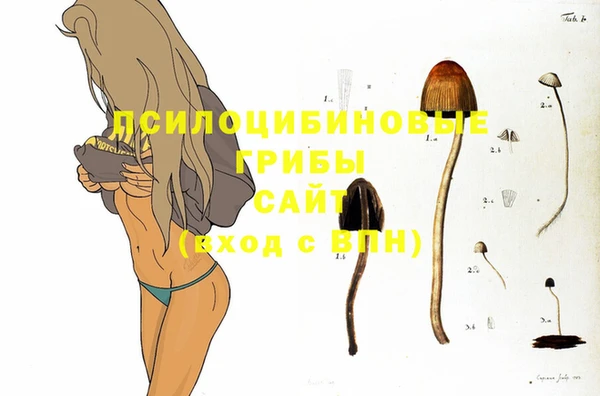 ECSTASY Абинск