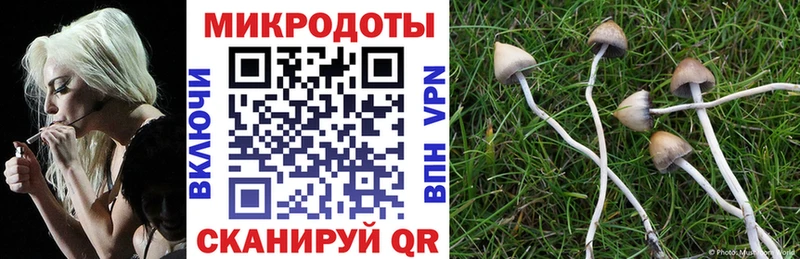 Галлюциногенные грибы мухоморы  Константиновск 